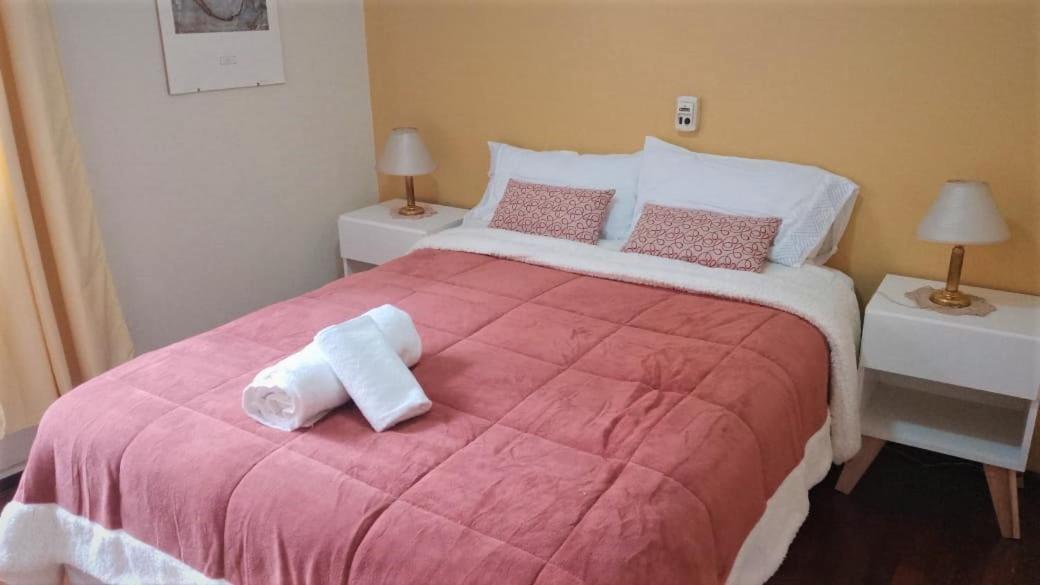 departamento centrico mendoza