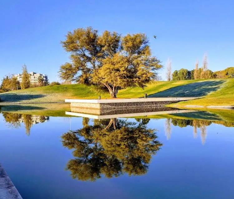 Excelente dpto en Parque Central