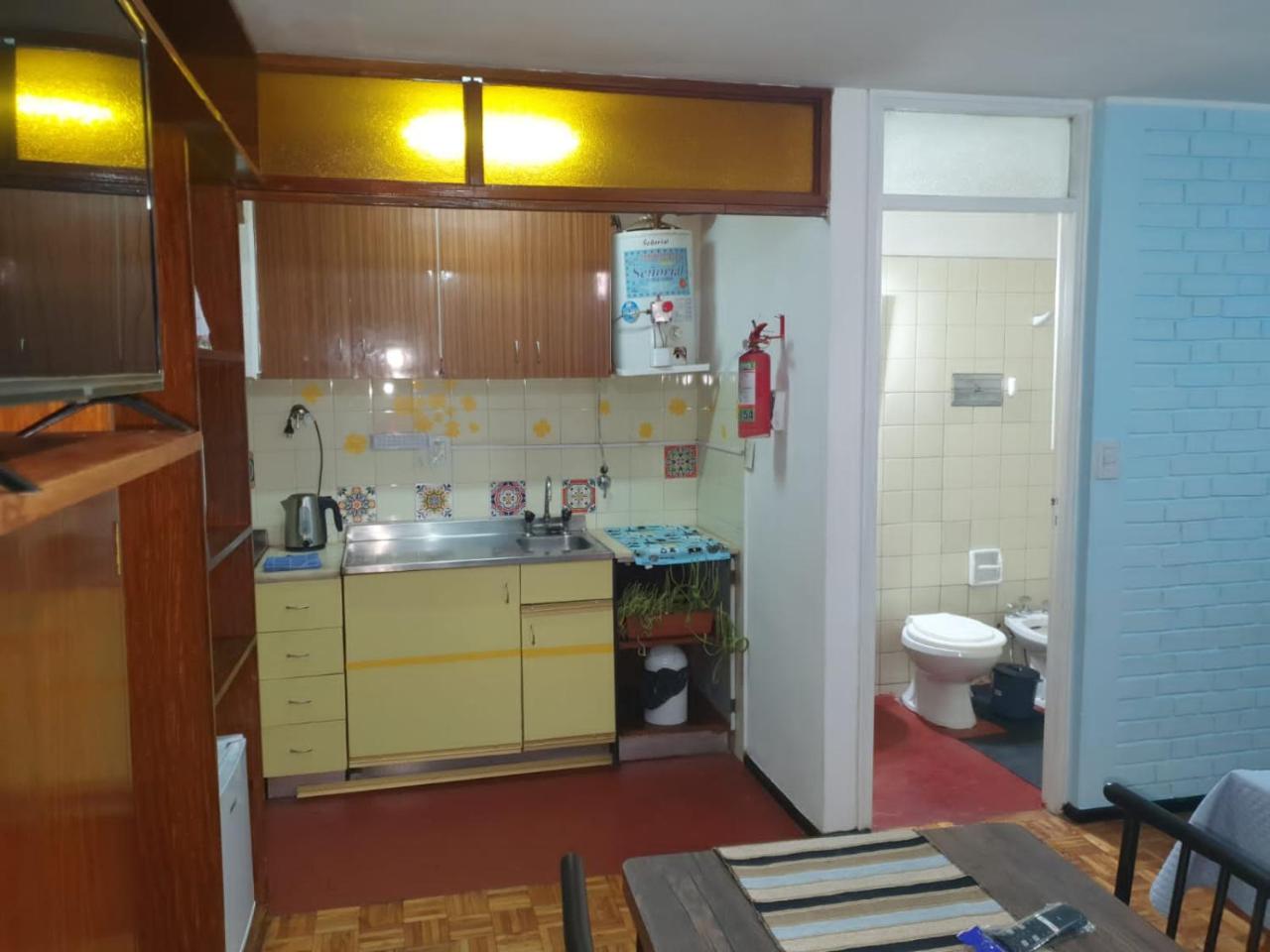 DEPARTAMENTO ZONA VIP DE MENDOZA