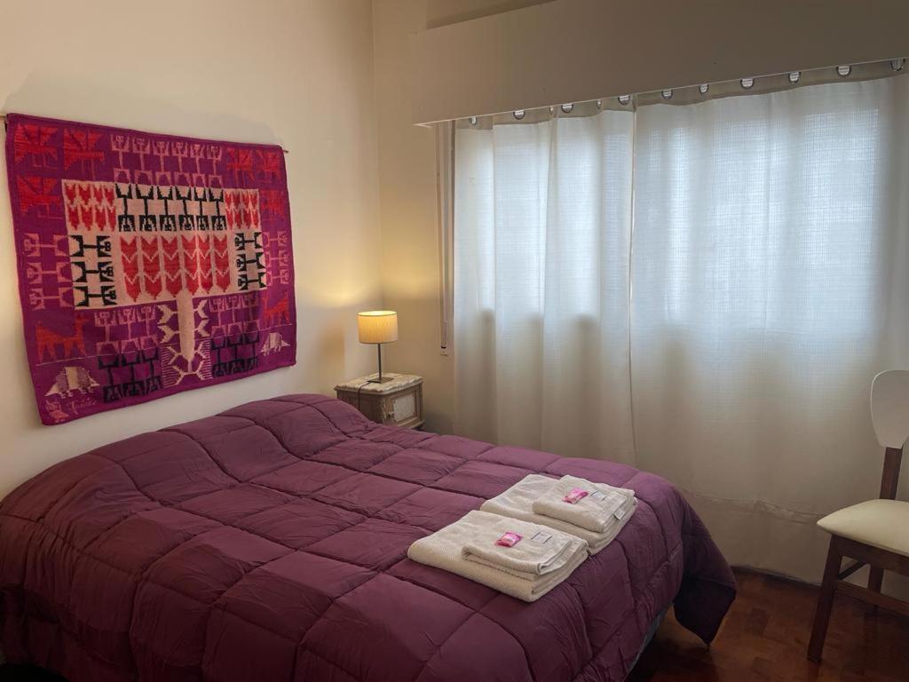 Mendoza 9 de Julio peatonal