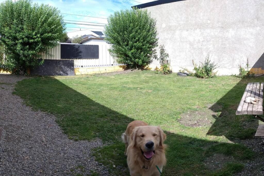 Humilde hogar, en el corazn de Ushuaia