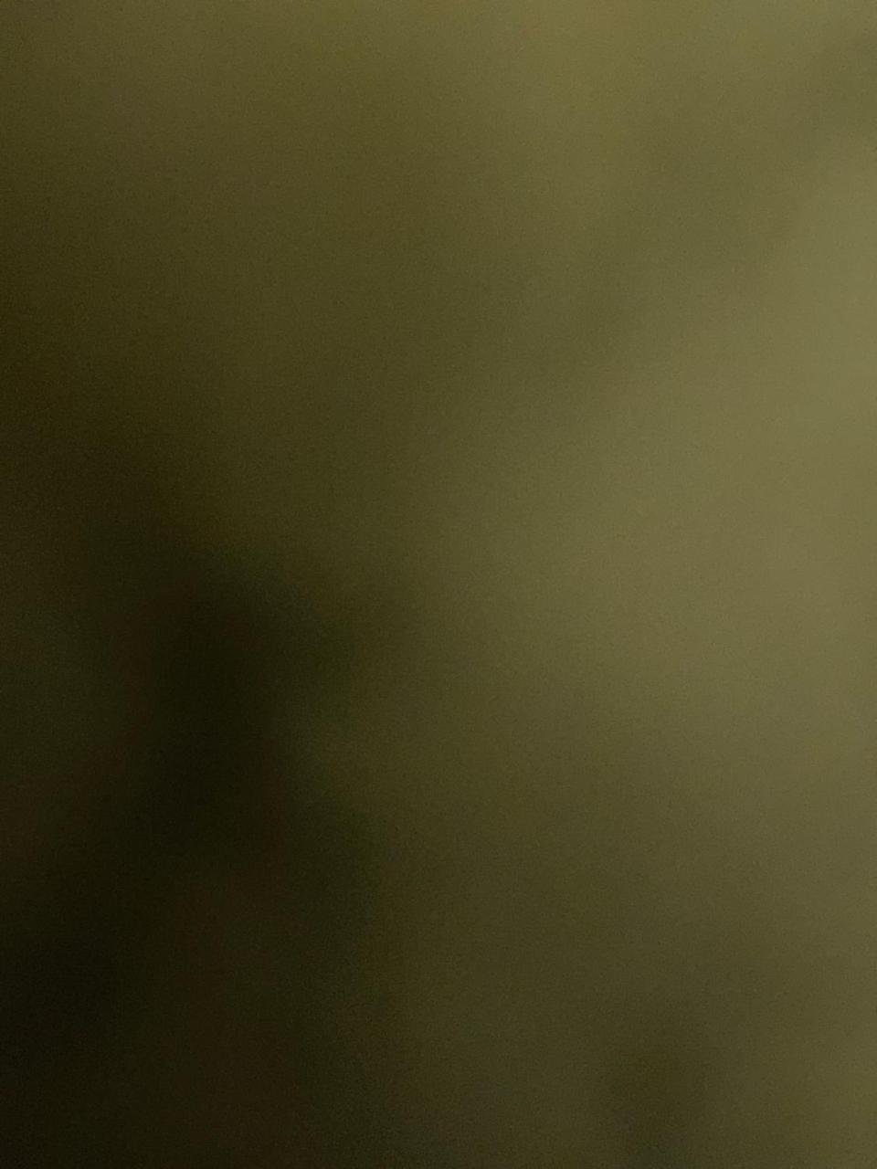 Aaaa