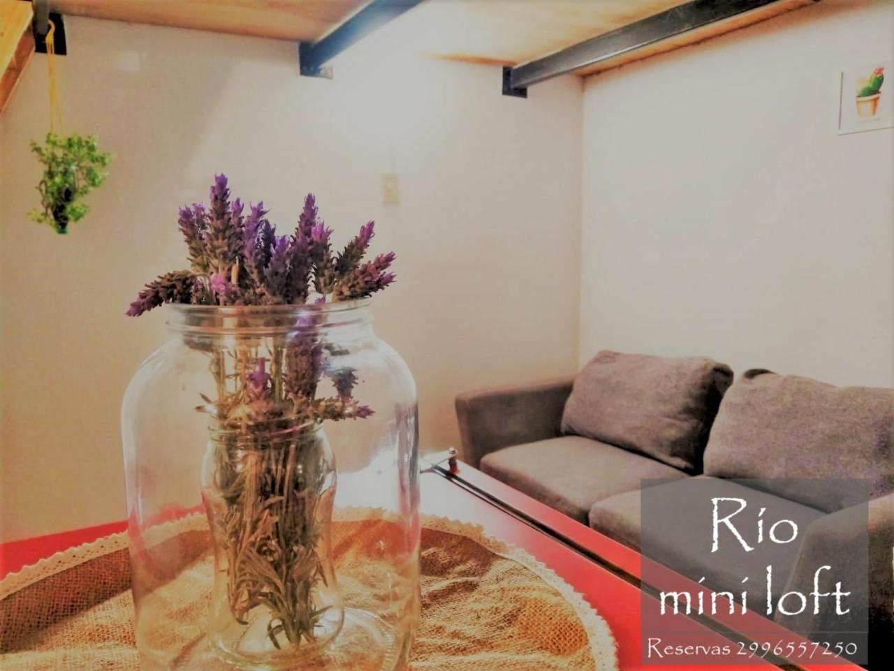 RIO mini loft