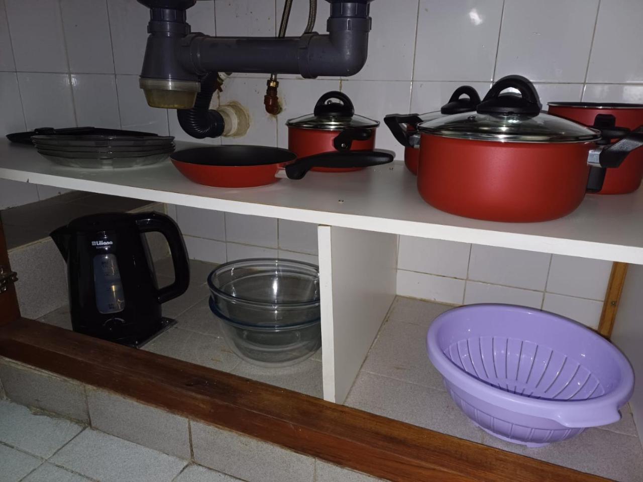 tu lugar 1