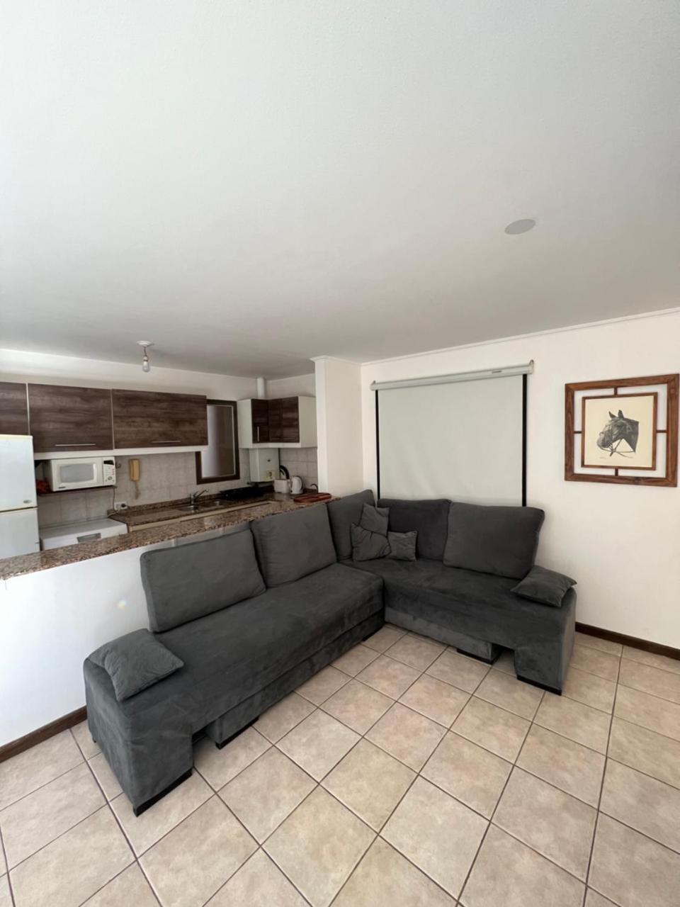 Departamento 1 dorm amoblado c/cochera