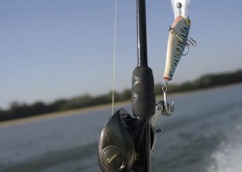 Pesca Deportiva