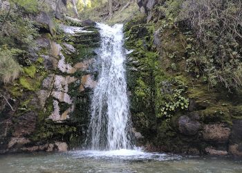 Que hacer en Lago Puelo