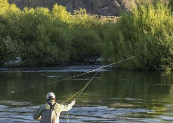 Que hacer en Ro Colorado