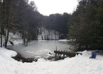 Laguna Pehuenco