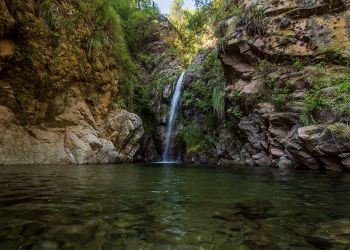 Reserva Municipal Juan Caro