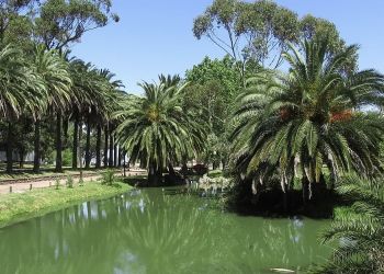 Parque Rodo. Que hacer en Montevideo