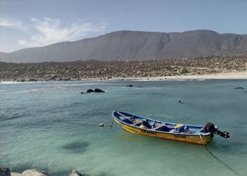 Que hacer en Coquimbo