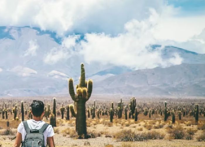 Parque nacional Los Cardones: un viaje a trav�s de la historia y la naturaleza