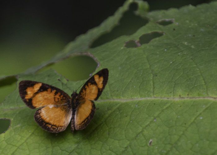 Parque Nacional El Rey