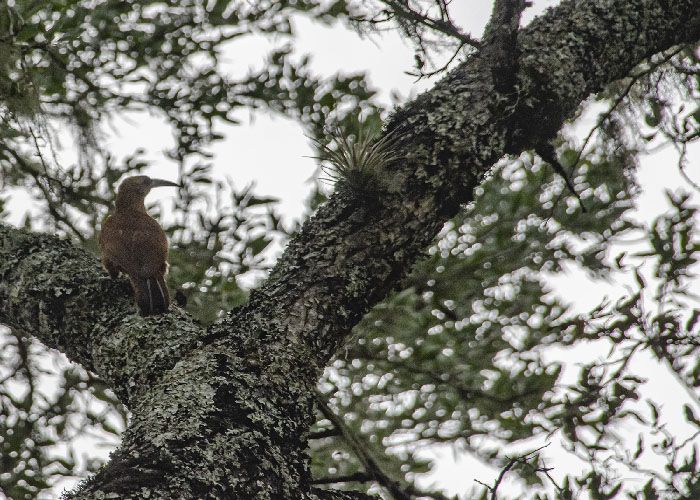 Parque Nacional Chaco