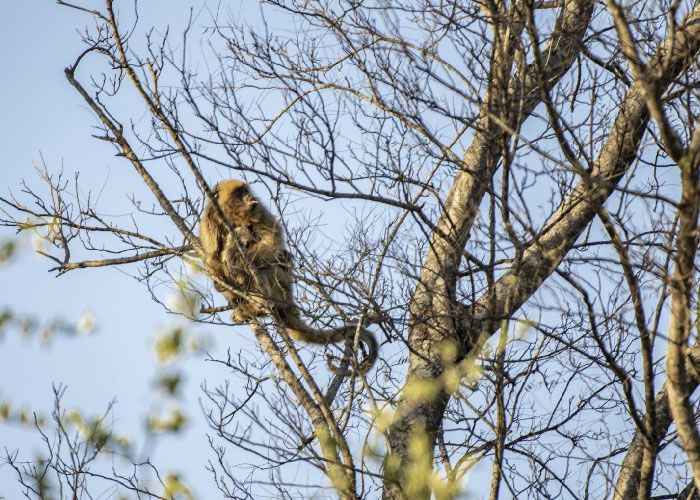 Parque Nacional Copo
