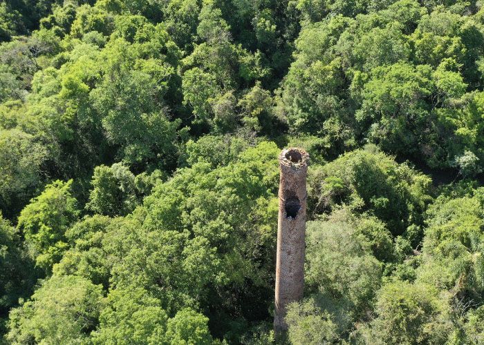 Reserva Natural Silvestre Parque Federal Campo San Juan