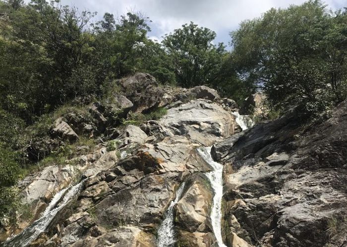 As� es la impactante reserva para conocer aves y conectarse con la naturaleza al sur de C�rdoba
