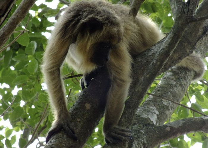 Reserva Natural Educativa Colonia Ben�tez