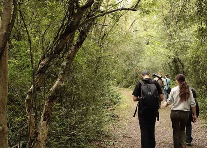 Una experiencia que invita a conocer el coraz�n de la naturaleza del Chaco disfrutando del trekking, el kayak y su gastronom�a