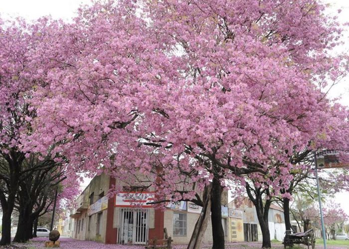 El pueblo que se hizo ciudad gracias a los inmigrantes y hoy es un atractivo tur�stico
