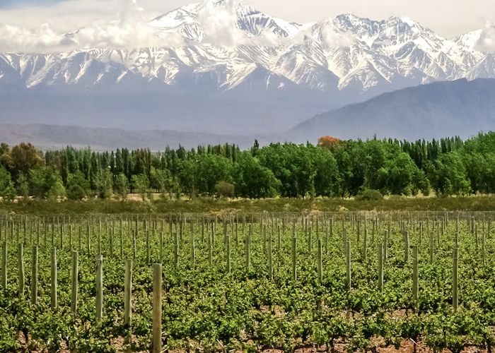 Mendoza, manso destino para descubrir todo el a�o