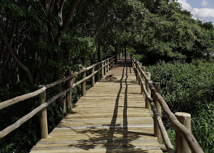 Islote Curupí