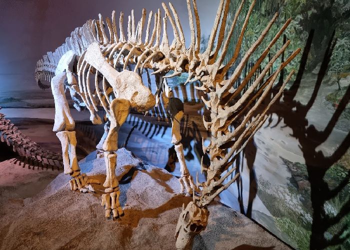 Museo Paleontol�gico Egidio Feruglio - Qu� hacer en Trelew