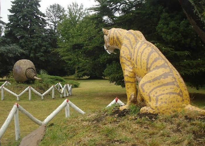 Visitar el Museo de Ciencias Naturales - Qu� hacer en Miramar