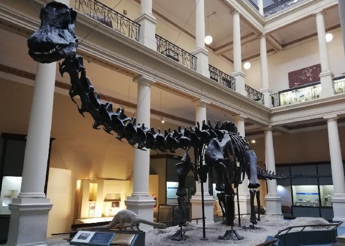 Museo de Ciencias Naturales de La Plata - Qu� hacer en La Plata