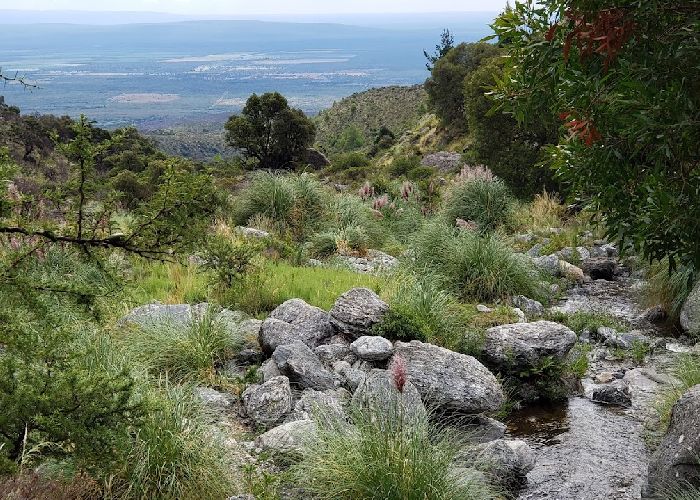 Puesto de Ferreyra - Qu� hacer en San Javier