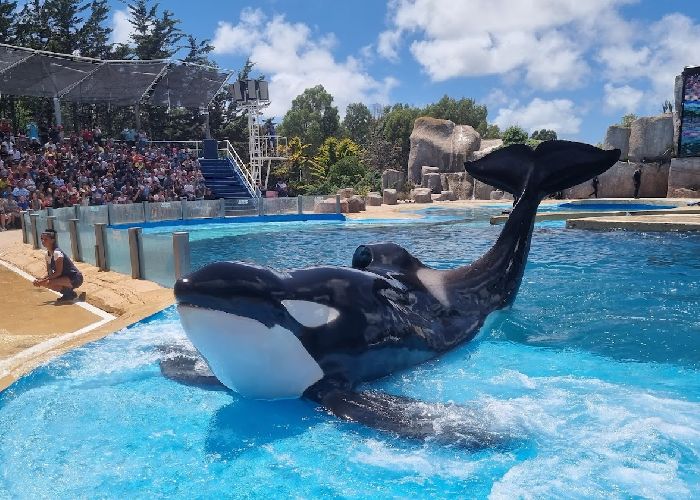 Mundo Marino - Qu� hacer en San Clemente del Tuy�