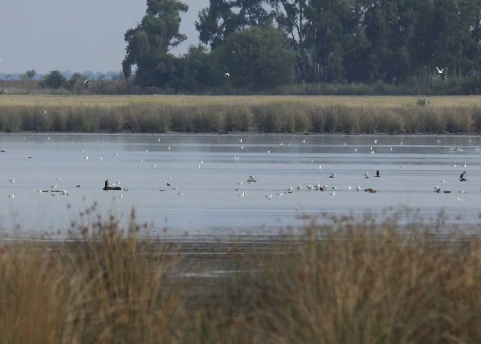 Laguna de las Perdices - Qu� hacer en San Miguel del Monte