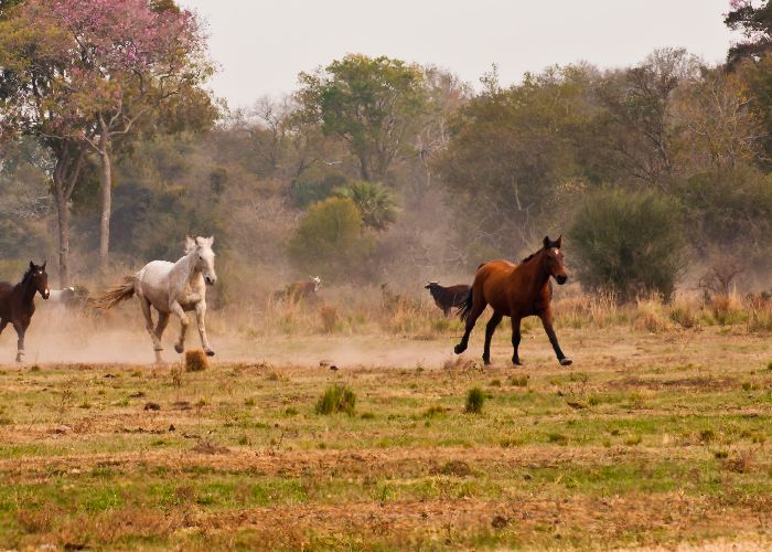 Turismo Rural - Qu� hacer en Villa Angela