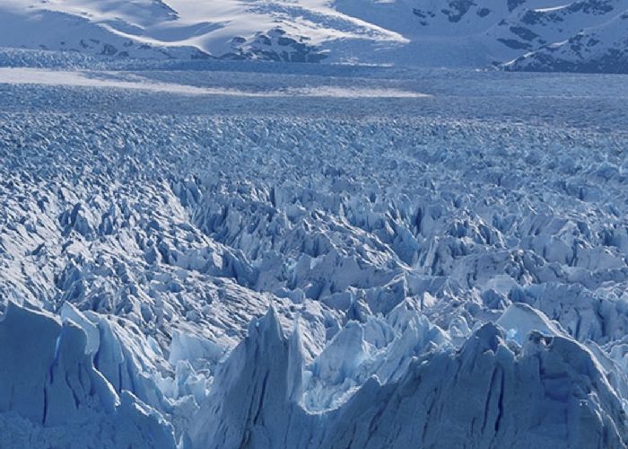 Parque Nacional Los Glaciares - Qu� hacer en El Chalt�n