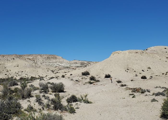 Parque Paleontol�gico Bryn Gwyn - Qu� hacer en Gaiman