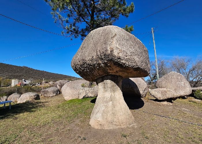 El hongo - Qu� hacer en Embalse