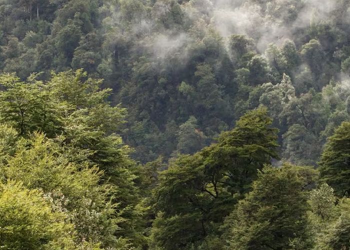 Parque Nacional  quebrada del Condorito - Qu� hacer en Icho Cruz , Villa R�o