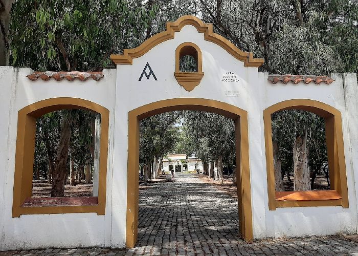 Parque Miguel Lillo - Qu� hacer en Necochea