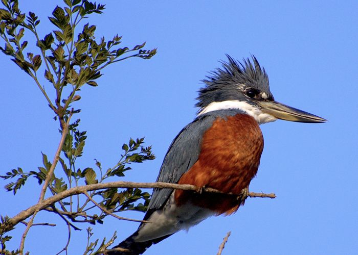 Visita la Reserva natural  - Qu� hacer en Villa Rumipal