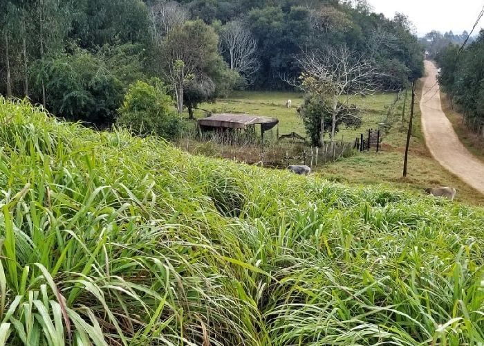 Agroturismo, cultura y esencias - Qu� hacer en El Soberbio