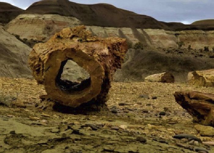 �rea Natural Protegida Bosque Petrificado Sarmiento - Qu� hacer en Lago Puelo