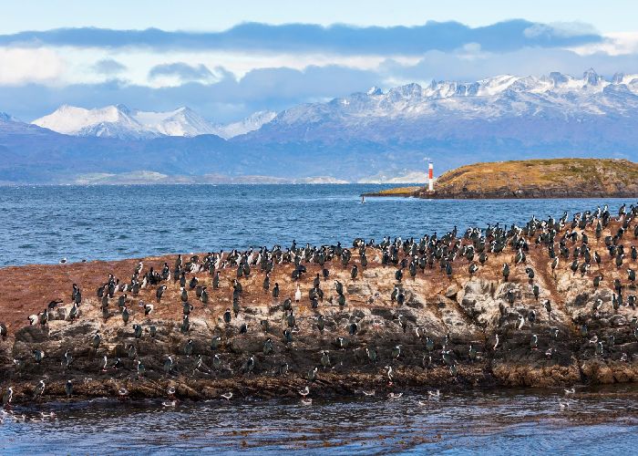 Canal Beagle - Qu� hacer en Ushuaia