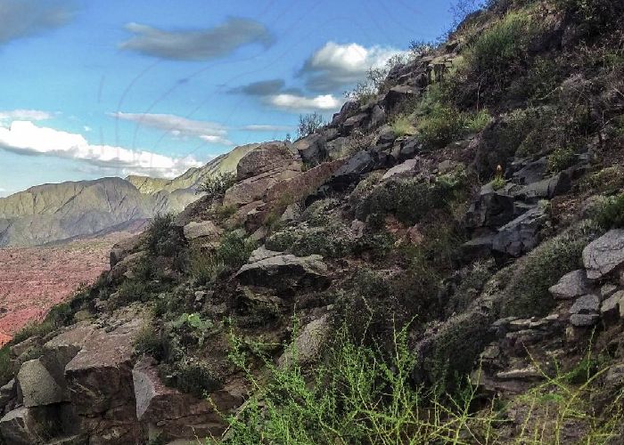 Circuitos Senderos del Famatina  - Qu� hacer en Chilecito