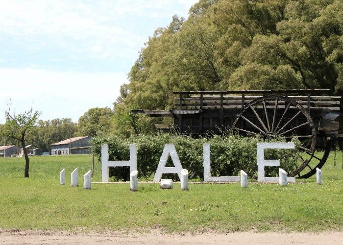 Visita Hale - Qu� hacer en Bolivar