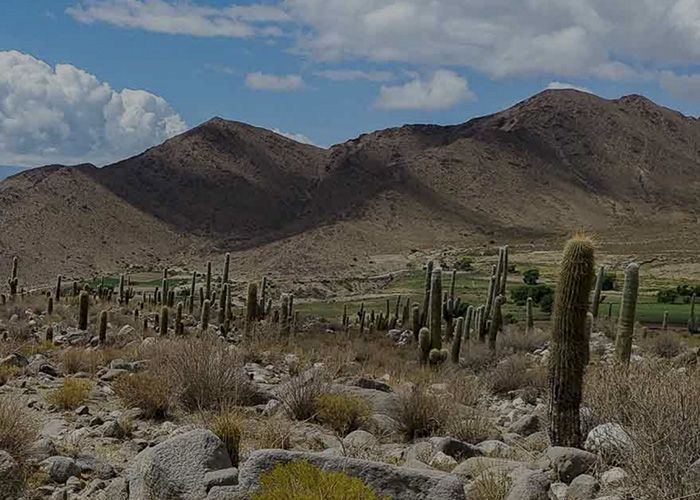Caminos Ancestrales - Qu� hacer en Cachi