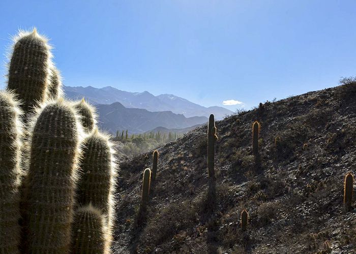 Miradores de Cachi - Qu� hacer en Cachi