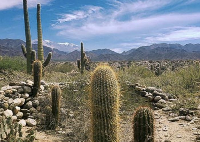 Conociendo La Paya - Qu� hacer en Cachi