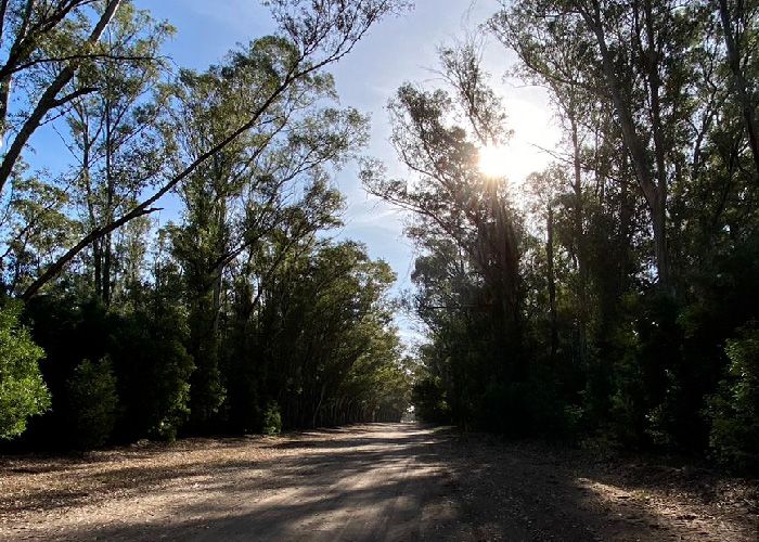 Visitar el Vivero Dun�cola - Qu� hacer en Claromec�