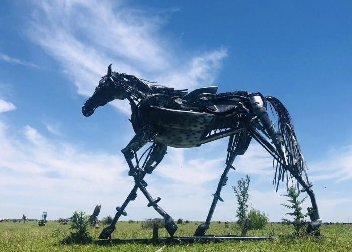 Metales Salvajes Campo El Carrizal - Qu� hacer en General Lavalle